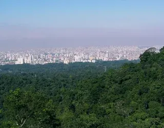 Vista de São Paulo a partir do Núcleo Pedra Grande, Parque Estadual da Cantareira.