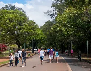 Alameda no Parque Ibirapuera, São Paulo.